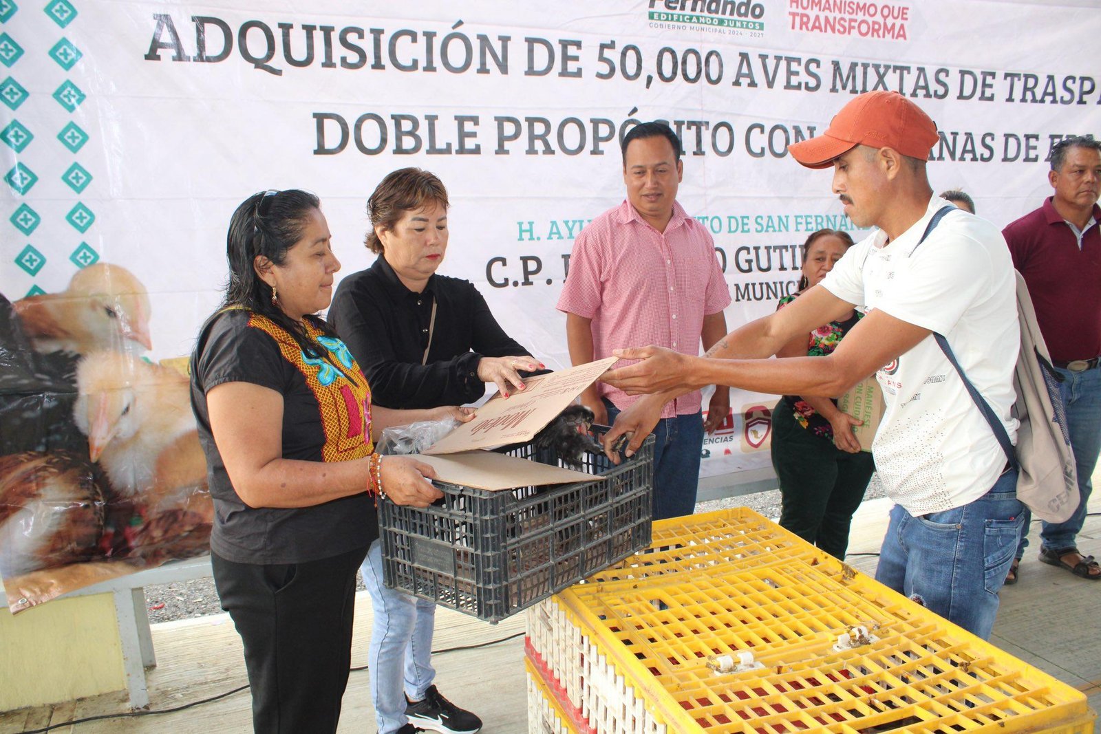 Imagen 1