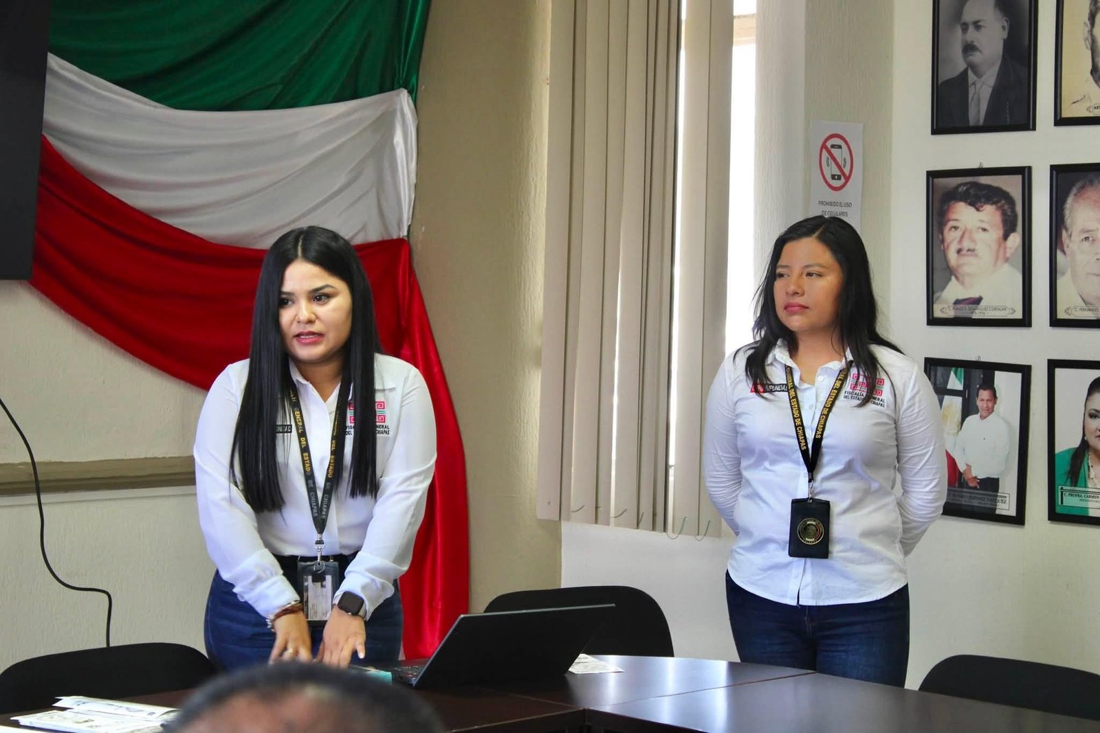 Imagen 1
